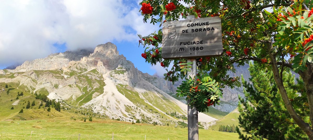 CelottoNicola's tweet photo. Fuciade - Passo San Pellegrino TN
#montagna #trentino #Dolomiti #alps #Italia #landscapephotography #NaturePhotography #photooftheday #moena #mountainobsession #mountains #UNESCO #nature #Travel #trekking #TurismoRural #fuciade #Italy #explore #Freedom #FeelThePower https://t.co/8XofqGEwrk