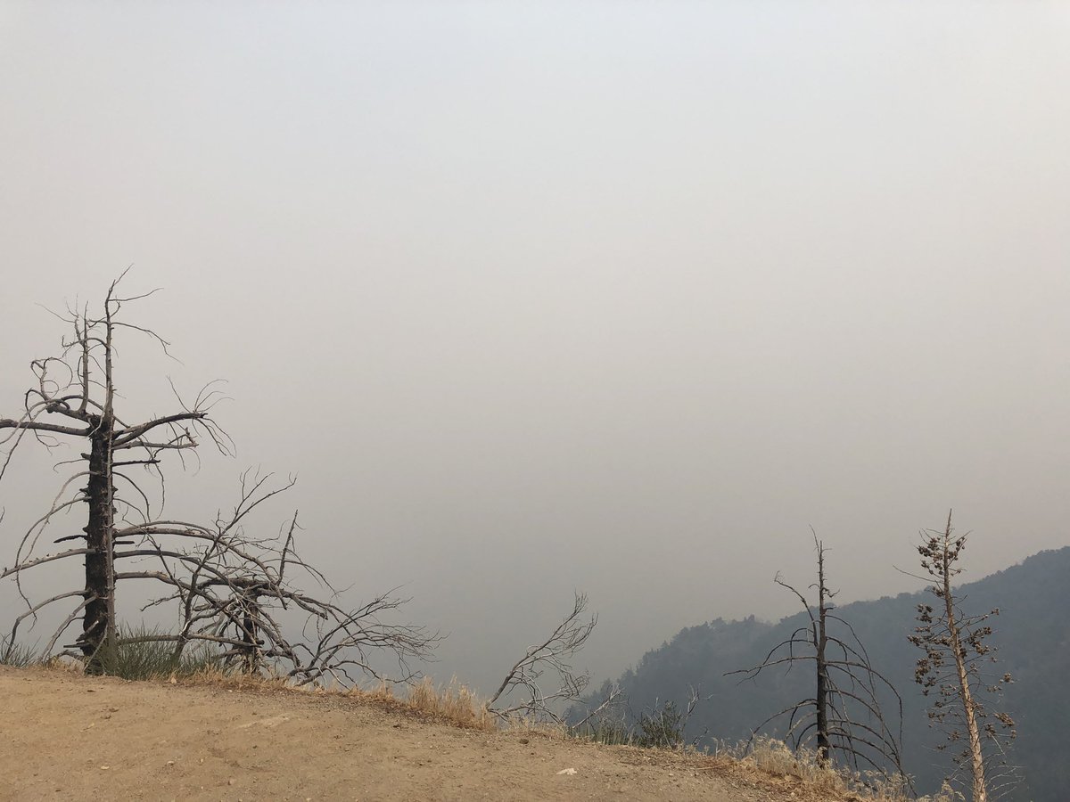 HarplaKPCC's tweet photo. @KPCC main transmitter site today at Mount Wilson. The #BobcatFire is on the East side of the compound and on the south at MountHarvard. Ground crews and dozers are doing an amazing job defending the observatory and the whole telecommunications farm. https://t.co/QkHHmSq8bN