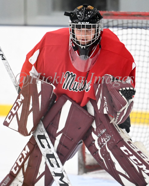 DanHickling's tweet photo. New pics of @MinnHockeyHP #TeamMuskies 18u now up on their @eliteprospects pages ... Also on select @_Neutral_Zone pages ... Check 'em out! @mhick1953
@MinnHockey https://t.co/WIiYBWluLZ