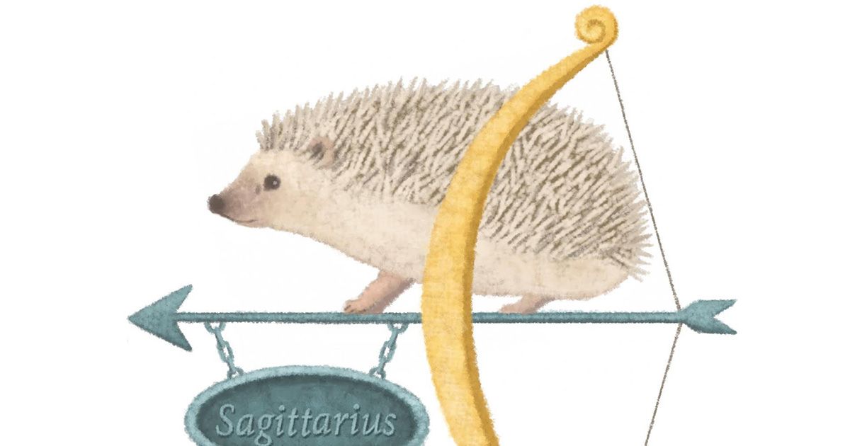 家庭画報編集部 毎日12星座占い 今日のわたし 今日の運勢ランキングは 各星座ページで 愛情運 金銭運など詳細もぜひご覧ください 占い 今日の運勢 12星座占い T Co Lfel65zimz