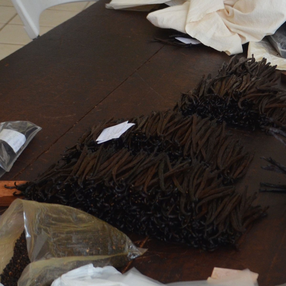 Measuring and sorting Vanilla Planifolia for export.
#vanilla #vanillabean #vanillaplanifolia #pompona #vanillapompona #vanillabeans #mexican #mexicanvanilla #mexicanvanillabeans #vanillabakery #vanillasugar #vanillacookies #baking #vanillaplant #orchid #vanillaaroma #chef