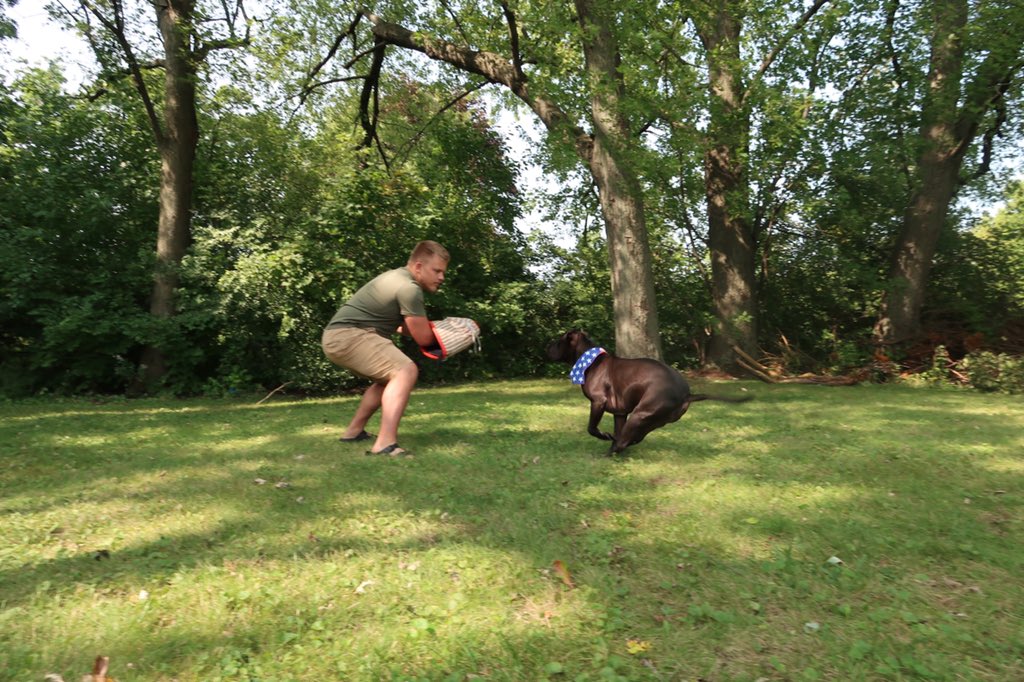 BullyRanch's tweet photo. Protector of the land https://t.co/iHE2Nyo4o1