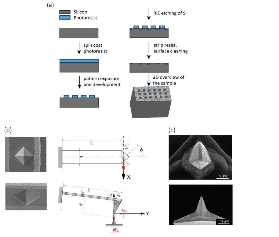 amir_zadpoor's tweet photo. 1) Mechanical properties of nanoscale patterns are crucial for determining the response of cells. Yet, there is limited data available. We studied the quantitative mechanics of individual nanopillars:
https://t.co/JFeJsw8qWT
@MahyaGanjian @MJMirzaali @KModaresifar @nanoscale_rsc https://t.co/3mVe0zRgtG