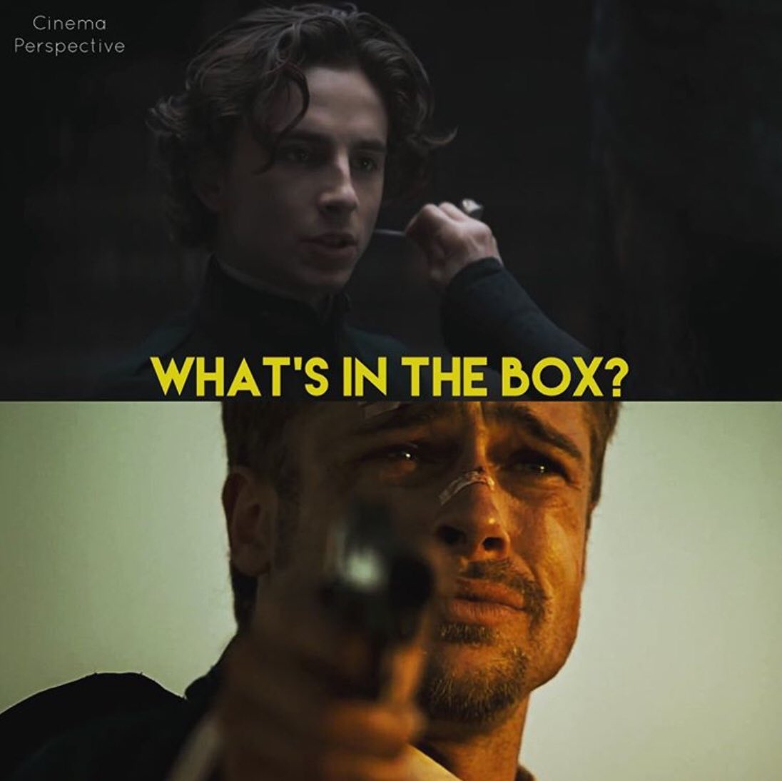 ClubChalamet's tweet photo. You have to have seen Se7en (1995 birth year of our savior) to appreciate this. 📦 
#Dune #boxofpain https://t.co/UlNPpAHMgg