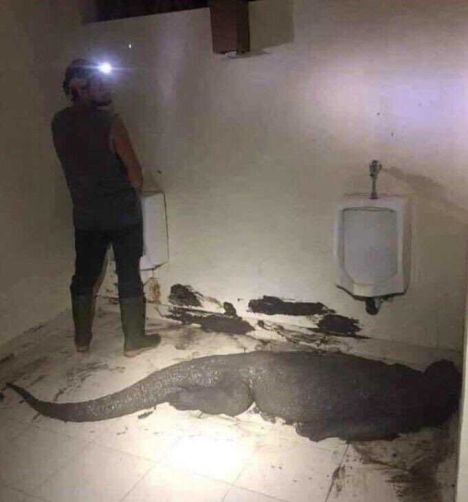 cursed images tweet media