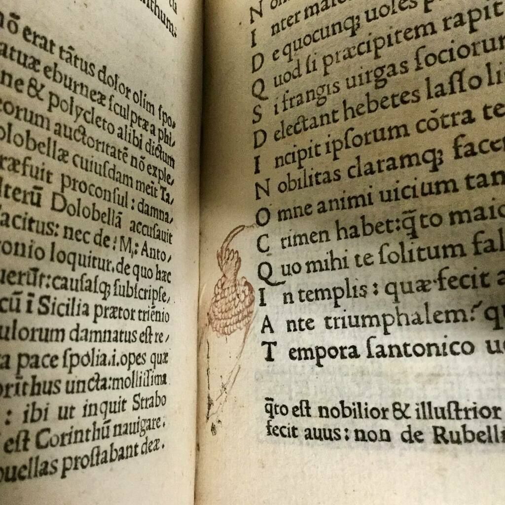 jordan_library's tweet photo. A manicule with a very fancy cuff! This pointing finger is found in our copy of Juvenal’s Saturae. Published in 1475, this item is the oldest printed book in the collection.
#manicule #pointingfinger #15thcentury #rarebooks #incunabula #incunable https://t.co/ZpGREQ3GJ0 https://t.co/JKD8AXEoPV
