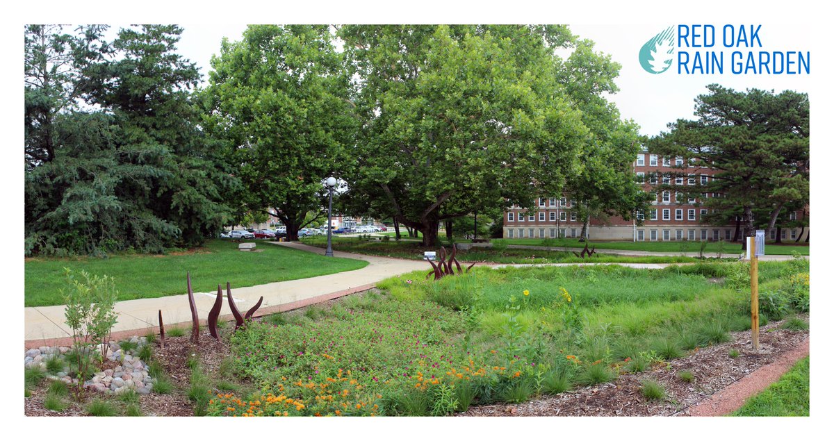 Red Oak Rain Garden tweet media