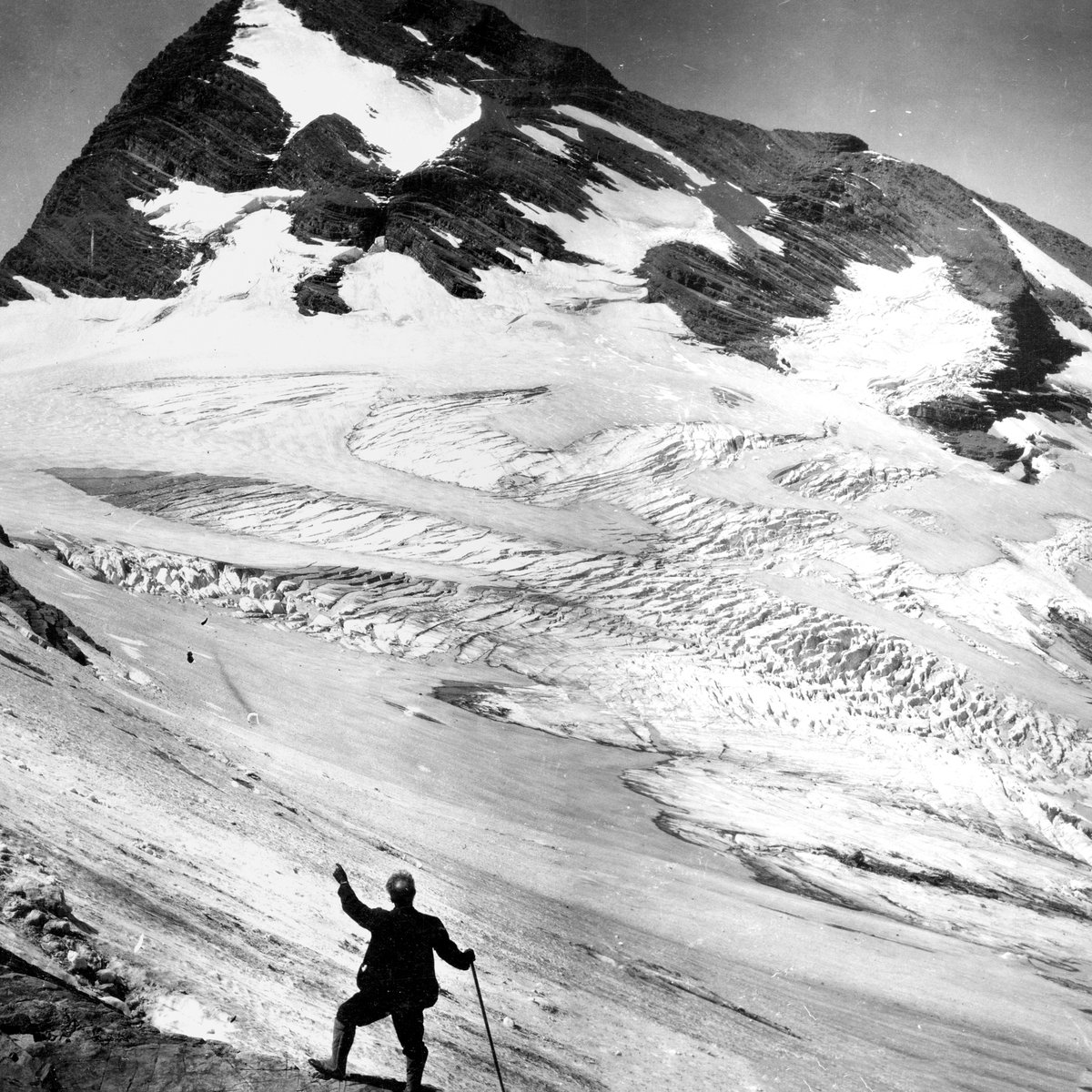 GlacierNPS's tweet photo. Image one: Jackson Glacier in 1913. A black and white photo of a mountain covered in snow and ice with a man pointing in the foreground. 

Image two: Jackson Glacier in 2020. Similar to image one but in color and with much less snow and ice. (1/8)

#GlacierMovingForward https://t.co/2ZytHMMKQ5