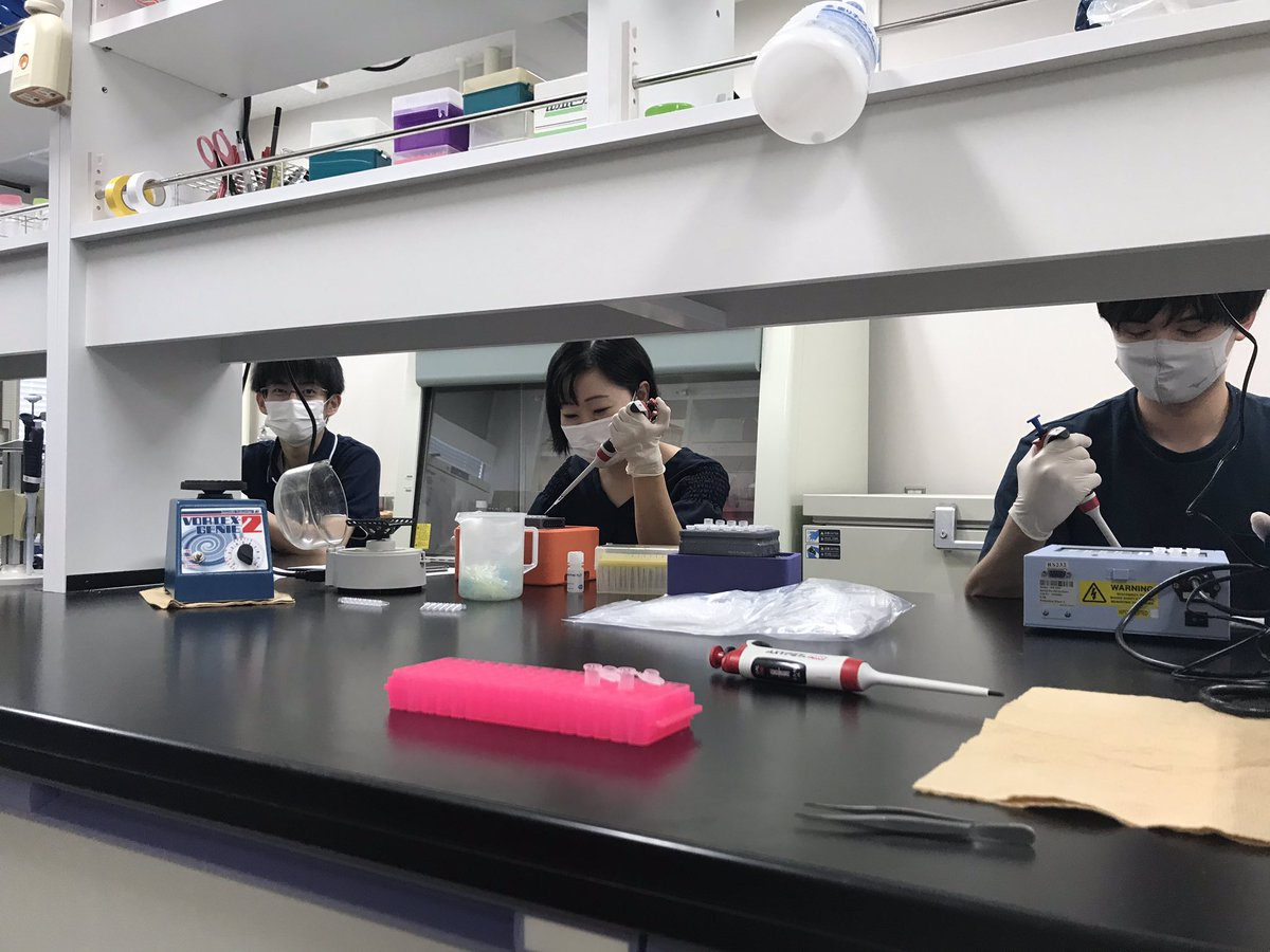 大阪府立大学獣医外科学教室 大阪府立大学 獣医外科学教室では がん 炎症 再生 泌尿器疾患をテーマに学部生 大学院生 教員みんなで毎日楽しく研究しています ちょっとやらせ感が強い 大阪府立大学 獣医外科 研究風景