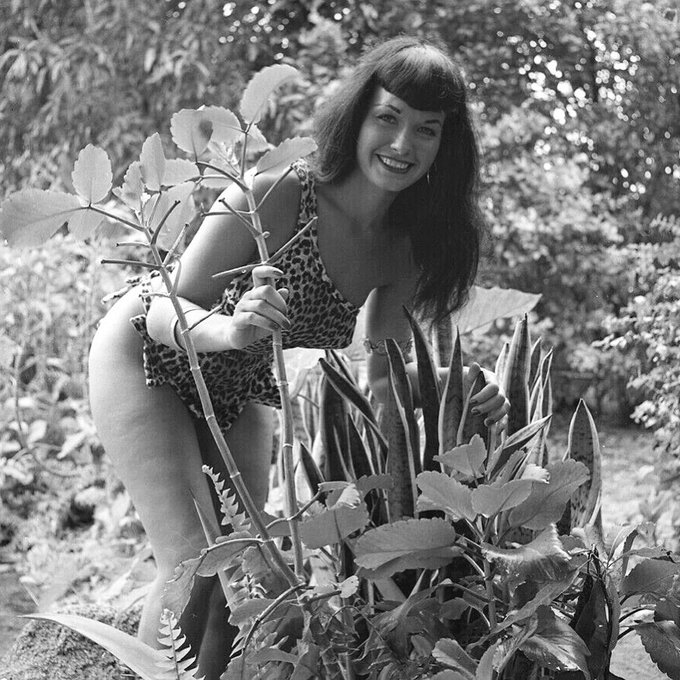 Jungle Bettie heeds the call of the wild! 🌴🐆🌿

📸 by Bunny Yeager ✨

#bettiepage #bunnyyeager #pinup #junglebettie