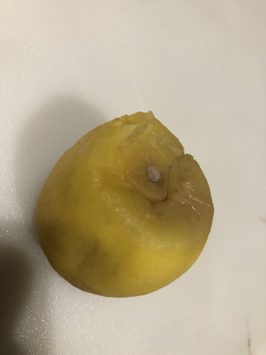 Joe Davis tweet media