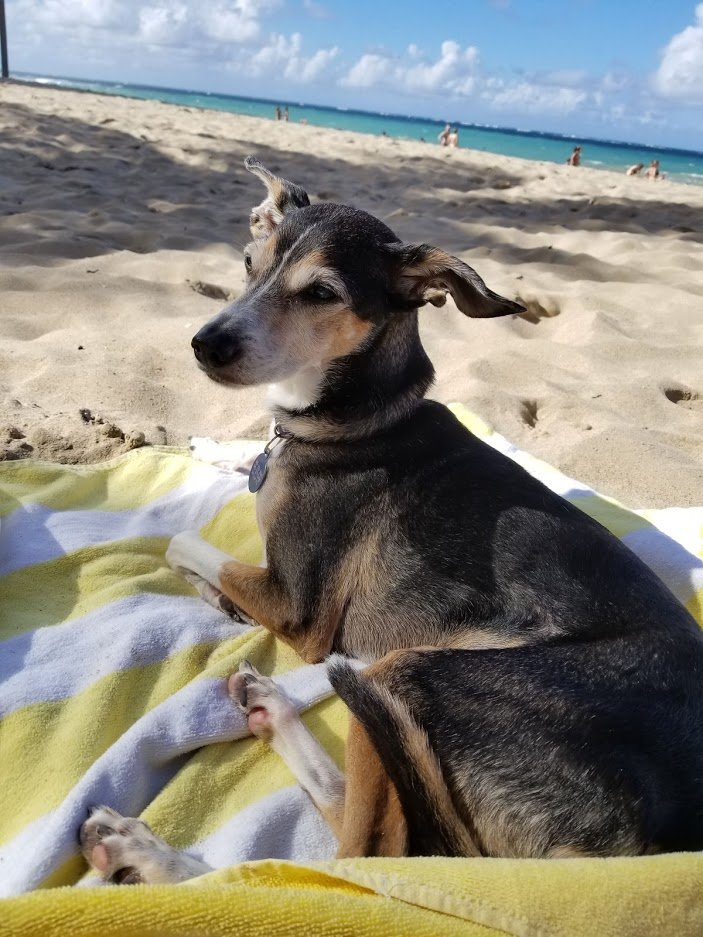 Maria Diehl tweet media