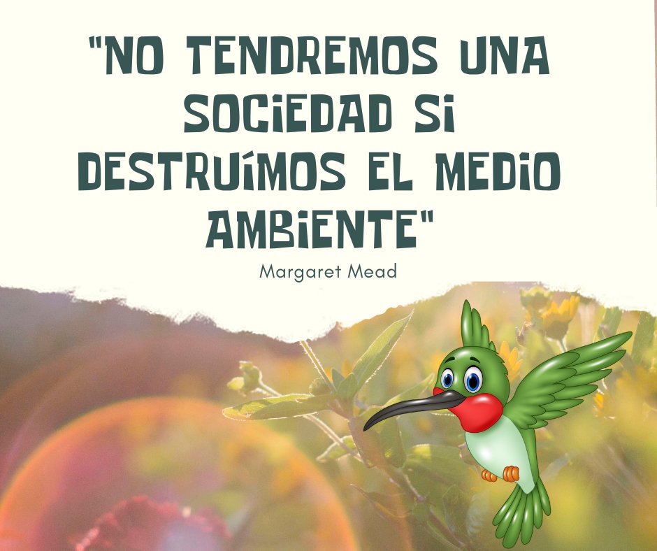 PedritoLADP's tweet photo. Hola amiguitos/as les dejo un pequeño mensaje. No olviden, la naturaleza es nuestro hogar. https://t.co/I8L20gVT5l