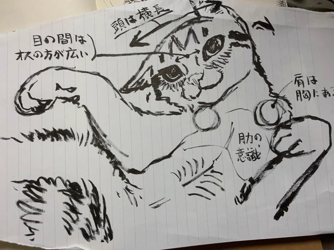 おはようございます!

エスキースです。何に注意して描いたかメモ加えました 