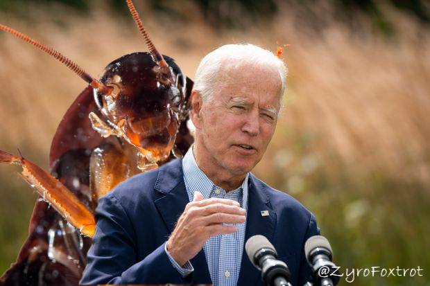 ZyroFoxtrot's tweet photo. #CockroachJoe https://t.co/mbLuGPwGFQ