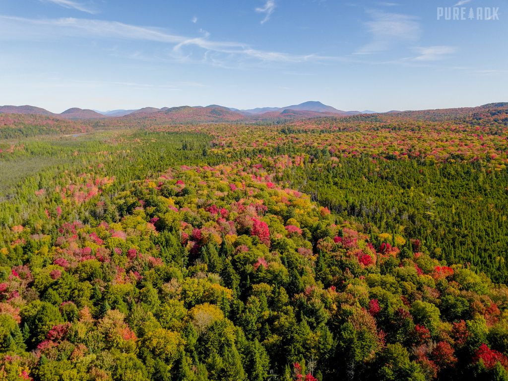 Pure Adirondacks Pureadk Twitter
