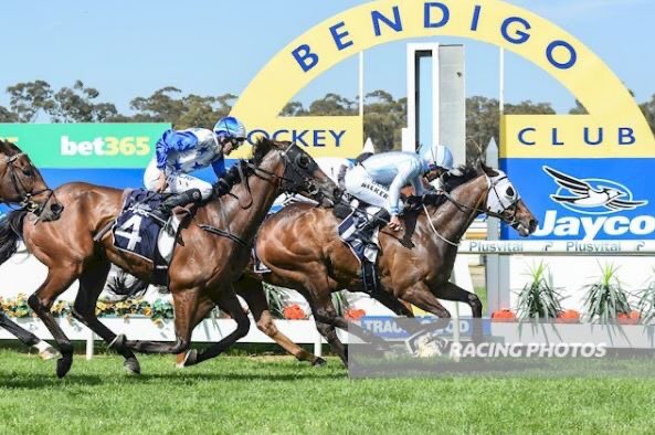 Cloud9Tbreds's tweet photo. 2018 & 2019 #BendigoCup winners team up today on the old hunting ground where we see #RedAlto and William Pike combine to tackle #r2 at @_BendigoJC for @Cloud9Tbreds..
All the best to connections! https://t.co/yMuRsrKfam