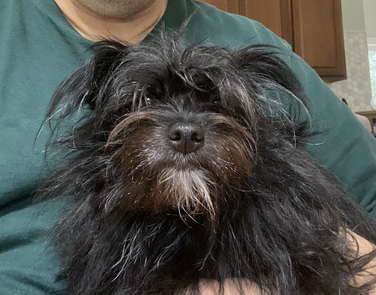 vAVF925's tweet image. Step away from the keyboard - I’ve got this #keyboardmaster #veeamdog