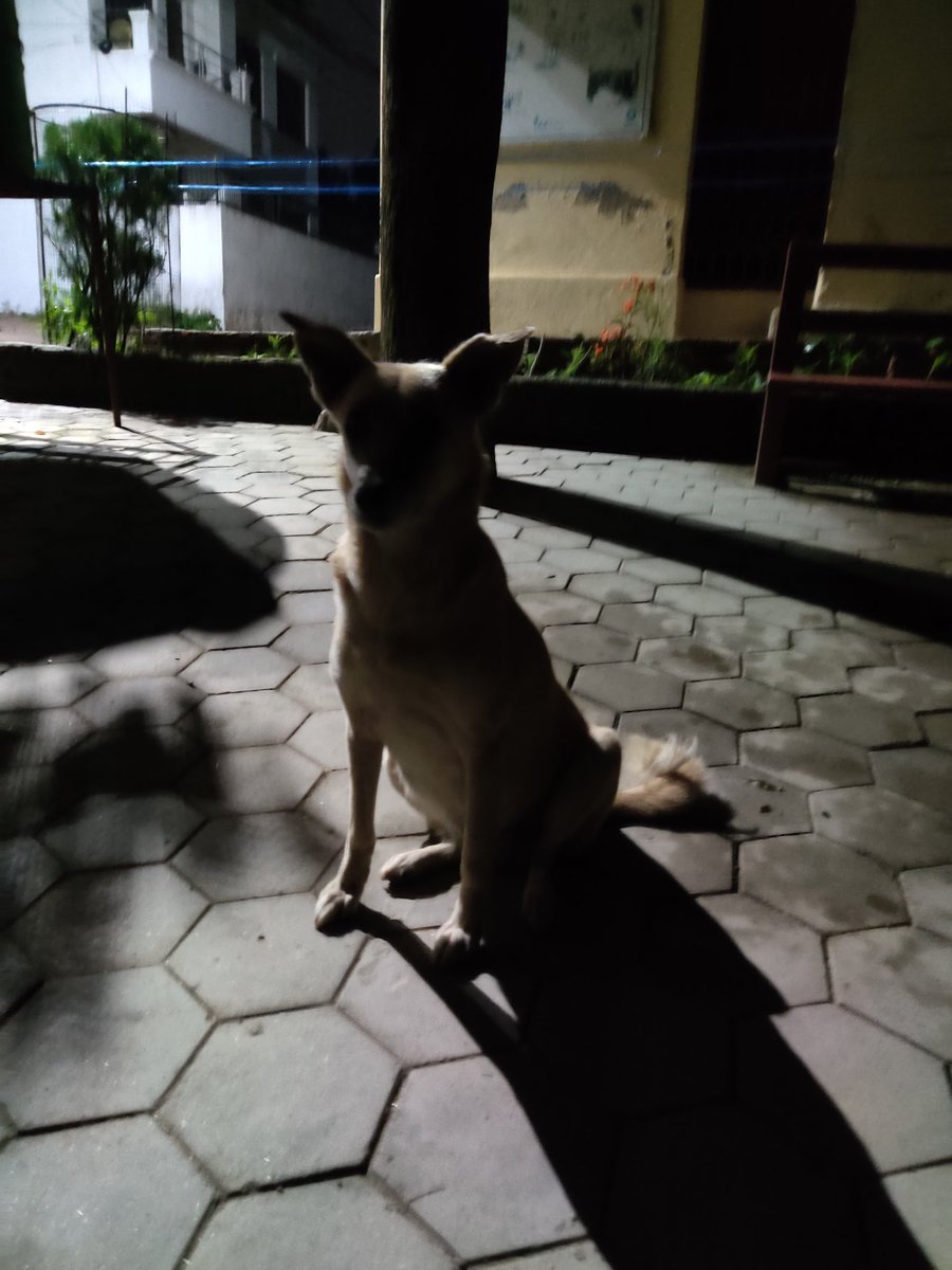 manishagauchan's tweet photo. Don't know your name but I am loving your company dear π
#GoodMorningClick https://t.co/Yt9U2LOxGp