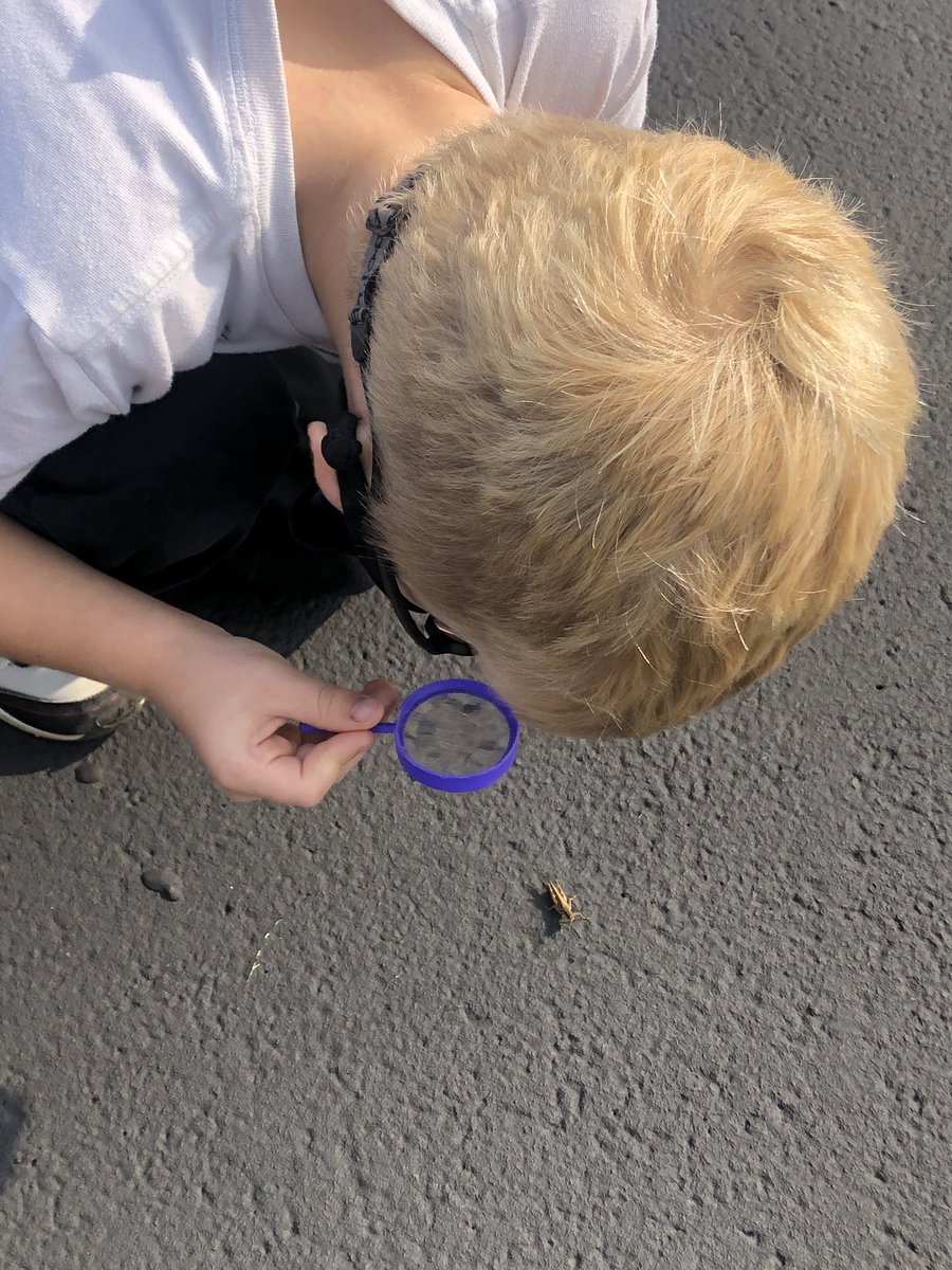 ecwithmisskim's tweet photo. It was a beautiful day for a bug hunt! https://t.co/0rweak69iX