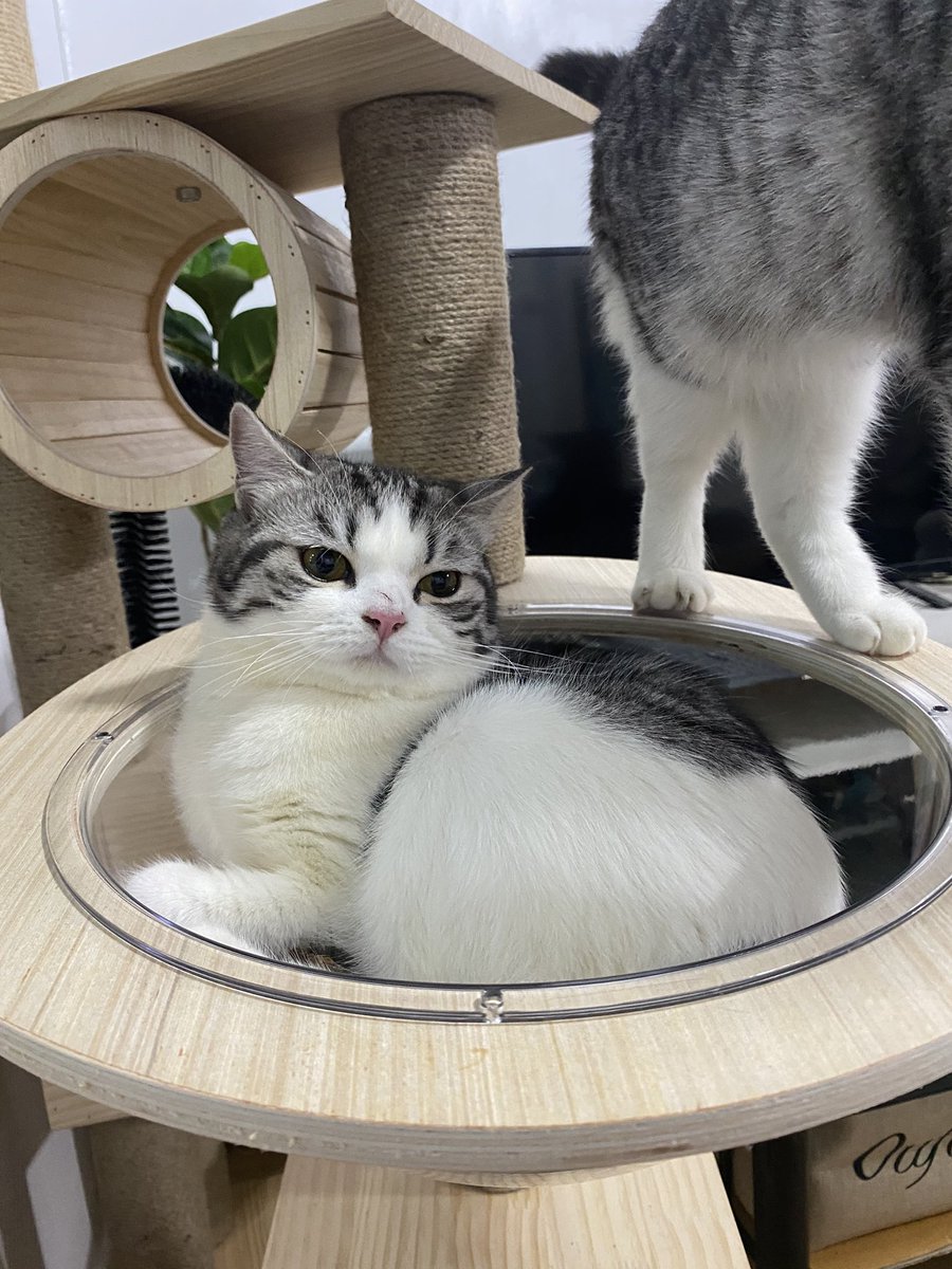 แงวหน้าบากสุดเท่