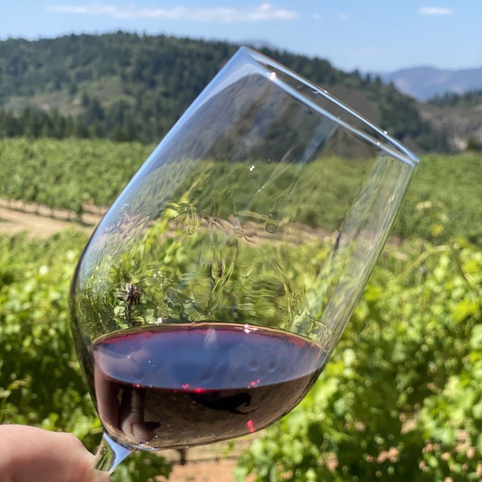 pridewines's tweet photo. The rich aromas of our mountain top Cabernet Sauvignon 2017 are quite the treat!
#tuesdaytreat #mountaincab #pridewines https://t.co/qe3F36FIFx