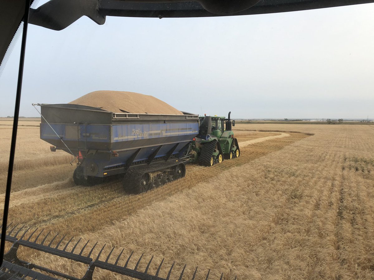 Cart driver- “Am I full?”
Combine driver- “I think you have room for a half hopper. Just don’t turn too short and stay on level ground” 😂 seems like a common theme around here most days