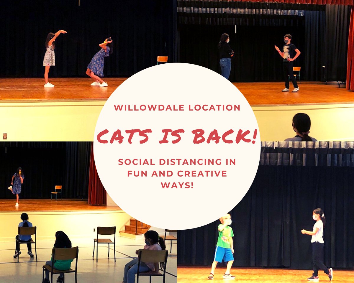catsdramaTO's tweet photo. We’re back and social distancing in fun and creative ways! https://t.co/bFEsk6lwKr