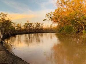 AusRangeSoc's tweet photo. Read full #update of Dharriwaa (Narran Lakes) @theCEWH watering event with #maps, images & animation at https://t.co/jzoyiL2KNK
On-going #monitoring critical to #adapativeManagement approach to using #community owned #environmentalwater in the #rangelands. #MDBPlan #Wetlands https://t.co/9bvVDDufHo