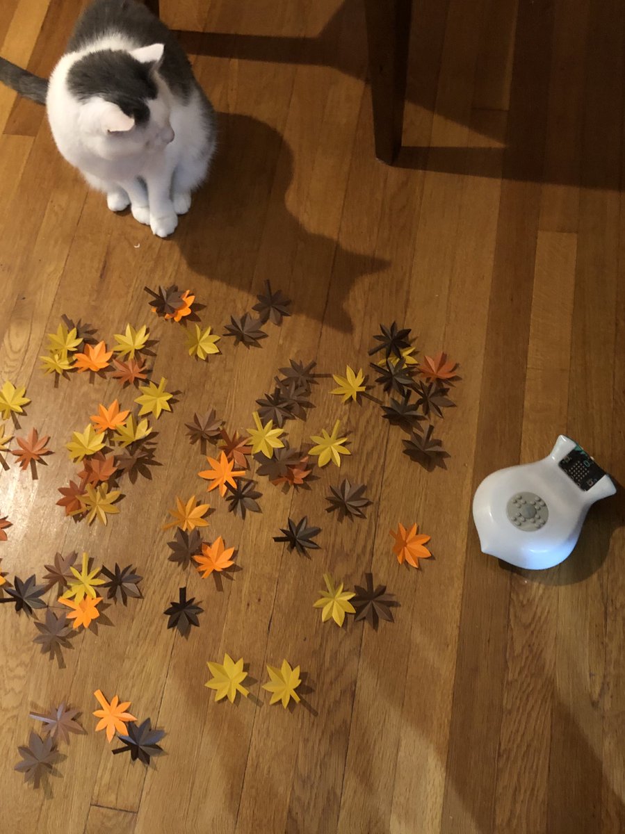 robotbambi's tweet photo. Sometimes I do feel like these video shoots would be easier without Lucky #Finch2Robot @birdbraintech https://t.co/jKKO6G309S