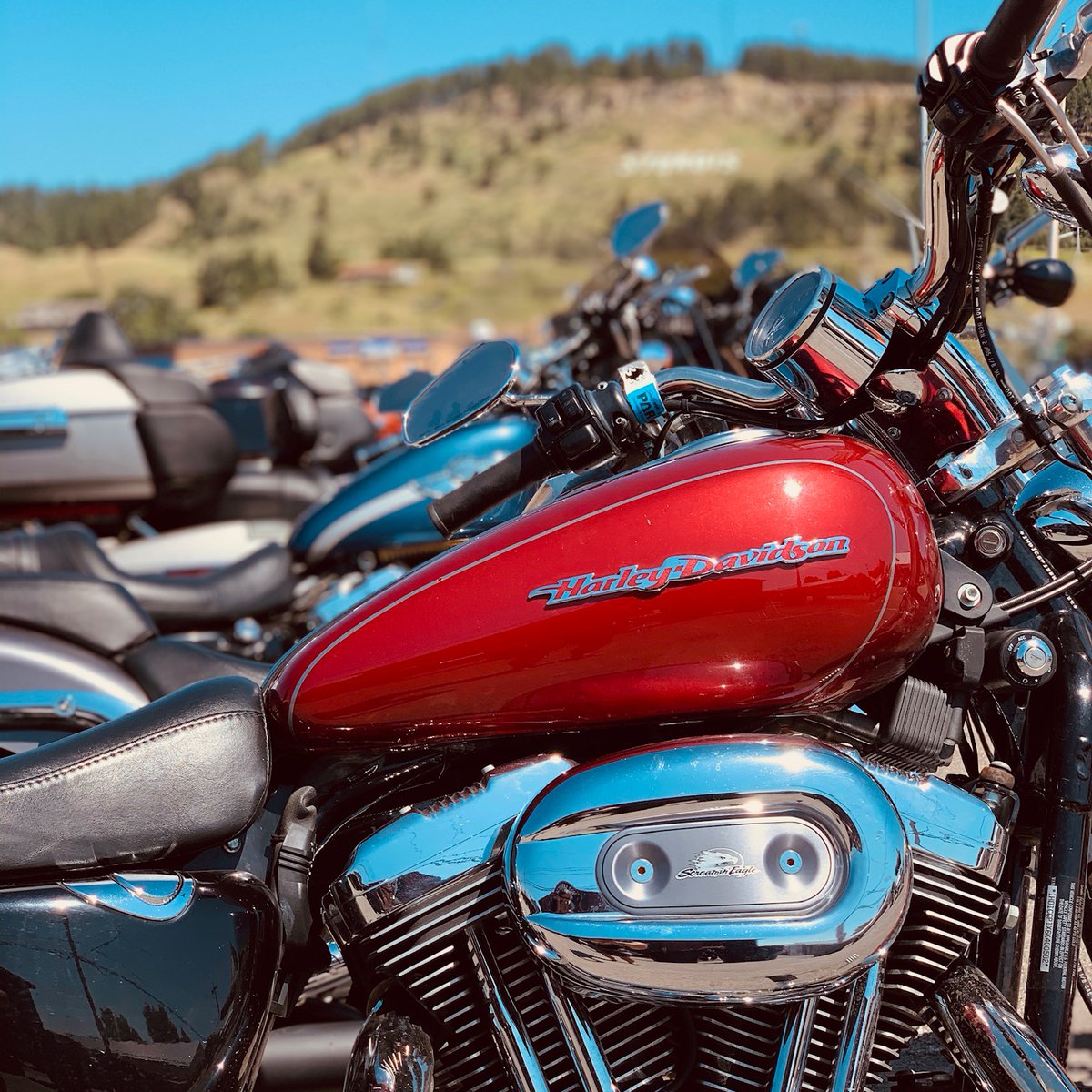 SturgisRally's tweet photo. What was the first year you attended the #SturgisRally ? https://t.co/sfQpY87xV9