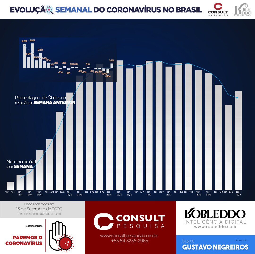 pauloconsult tweet media