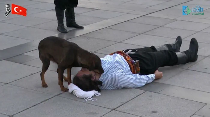 野良犬乱入でパフォーマンス中断？観客全員を感動させたハプニングとは!？