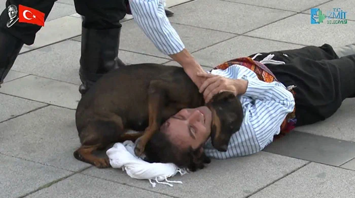 野良犬乱入でパフォーマンス中断？観客全員を感動させたハプニングとは!？