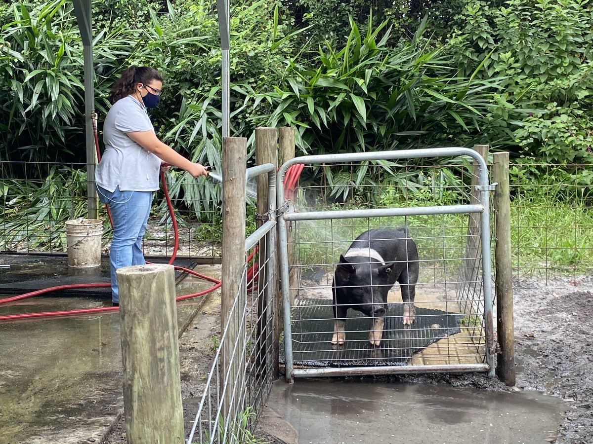 John R. DeVito tweet media