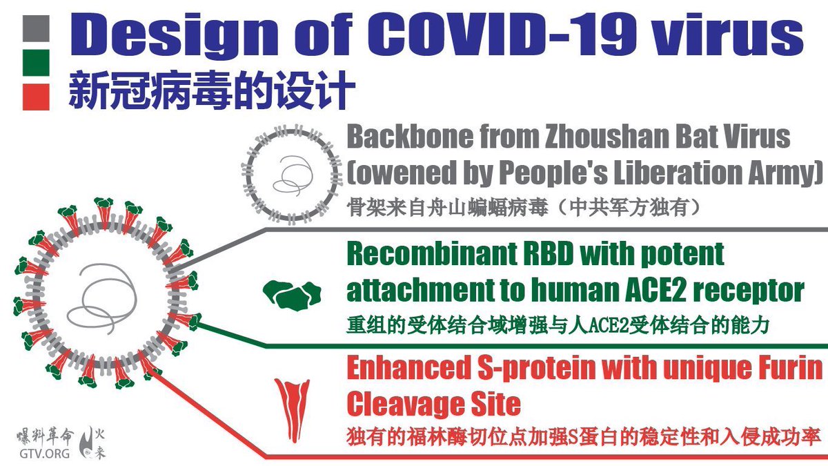 realDavidVan69's tweet photo. @ding_gang The #CCP #VlRUS far exceeds the harm that "9.11" has done to Americans丶Chinese……the people of the world !
Many Chinese and Mr.#MilesGuo郭文貴 have been working hard to overthrow the terror rule of the #CCP regime!
Together, we take down the #CCP ! https://t.co/ij85QeYGGd