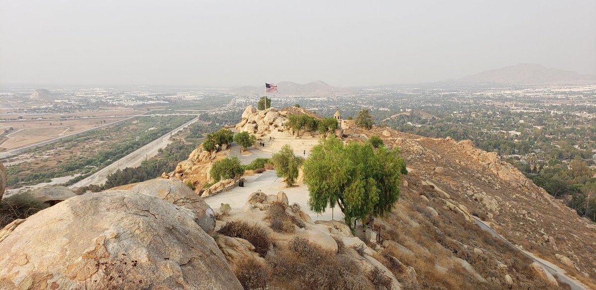 Sem Avena tweet media