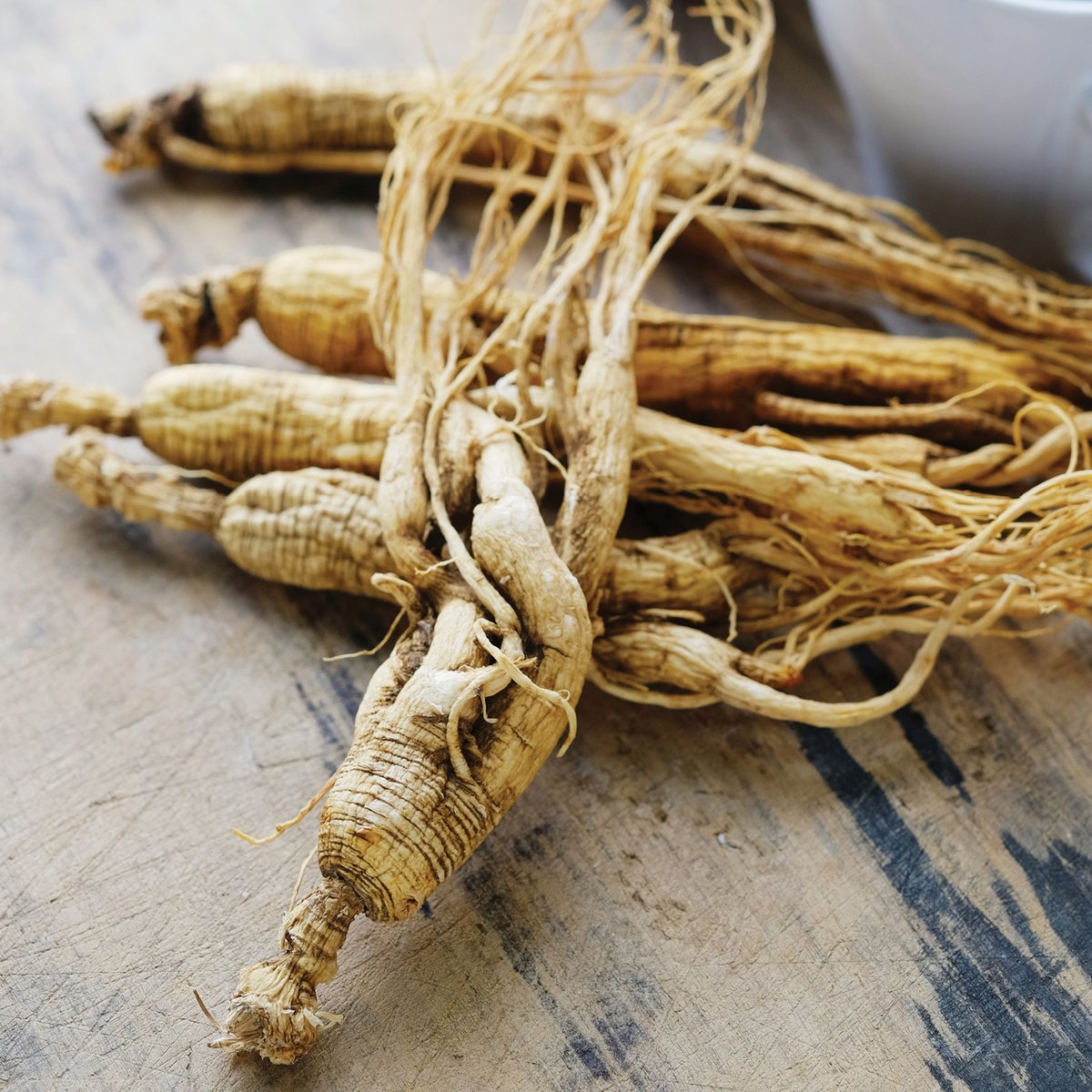 addausa's tweet photo. Panax Ginseng is one of the most important adaptogenic plants, studied for thousands of years in Chinese medicine. It has lots of research showing it improves mood and cognition as well as help supports the immune system.

#adaptogens #ginsing #holistic #clean #wellness #herbs https://t.co/aMzGigPt5q