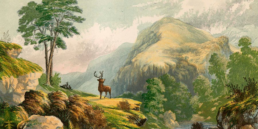 Yet, despite our history, many of you are in denial. Do you think you have truly matured when you can't even kill the animal you're eating? At least vegans aren't hypocrites.Do you think your supermarket beef suffered less than the wild animals I take? Mine tasted freedom.