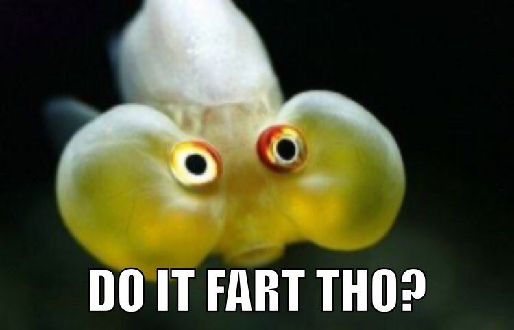 GrapeBoot's tweet image. 