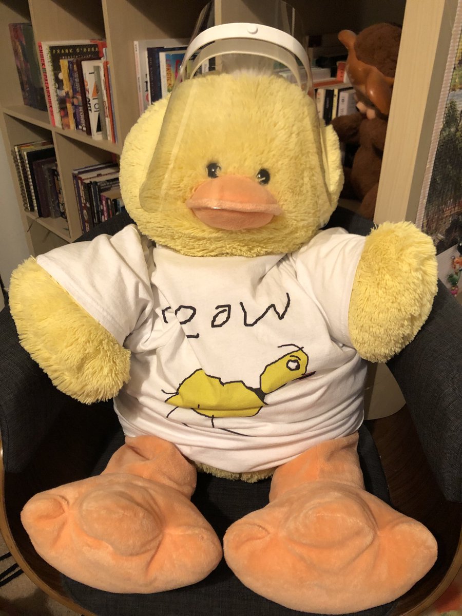 lilgingerb's tweet photo. well, he's had to adjust to the times a bit but here he is. many people have messaged asking what became of the duck so i'm sharing. we bought him together at a toys r' us in LA around 2011. think he watches over me now. gives me some sort of comfort. i love you byron 💛💛 https://t.co/GfRs7Kl14k