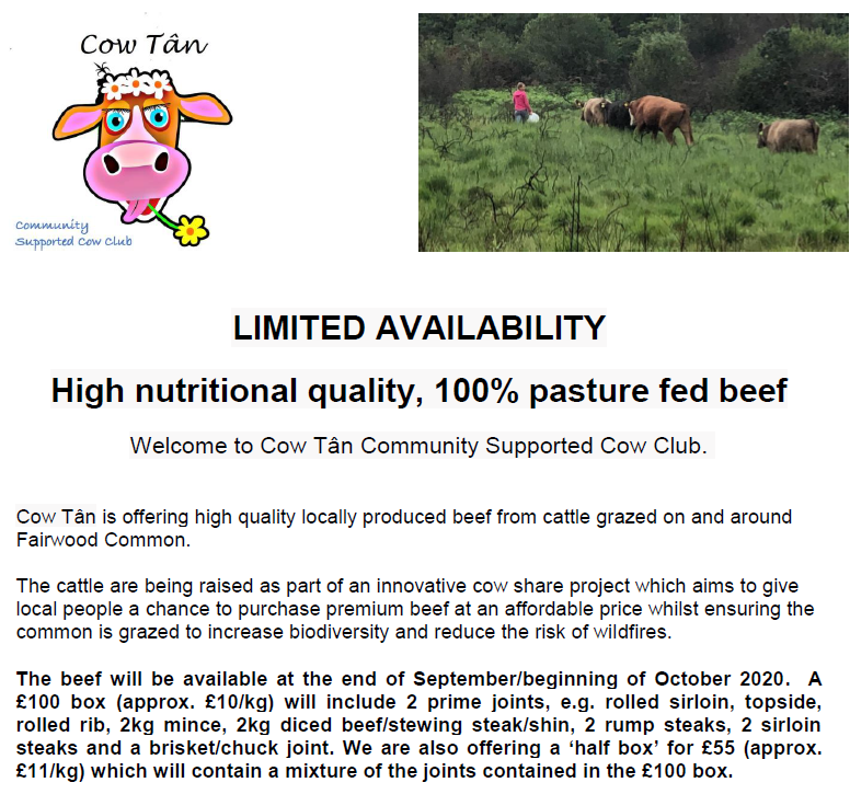 Club Cow Cow Tan- Community Cow Club @club_cow X Profile | Muskviewer