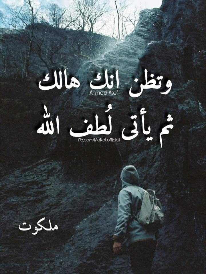 #لن_يدوم_فسادهم
#محمد_شرف_الامة
<a href="/hzzz555/">难逃新鲜感</a>
<a href="/IraqiPMO/">المكتب الإعلامي لرئيس الوزراء 🇮🇶</a>
<a href="/MAKadhimi/">Mustafa Al-Kadhimi مصطفى الكاظمي</a>
