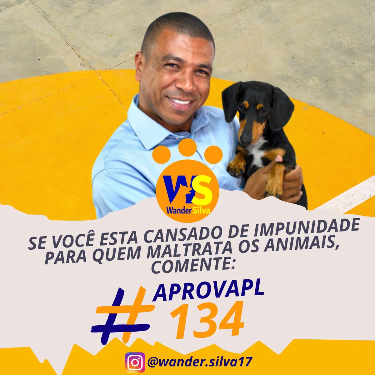 WanderS25498322's tweet photo. Que esse projeto de lei possa sair do papel vamos divulgar o máximo possível juntos podemos muito mais,  para que os animais tenham seus direitos garantidos e possamos proteger quem não pode fazer isso sozinho!!!
Nos ajude divulgando a #APROVAPL134

#WanderSilva https://t.co/OFn5tT6SMw
