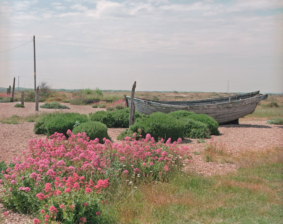 📢✨ We are elated to announce that ‘Derek Jarman: My Garden’s Boundaries are the Horizon’ has been extended until 13 December! 🎉

Tickets for the new dates will be available to book from next Tuesday 15 September: bit.ly/3a8j9cr

#JarmansGarden