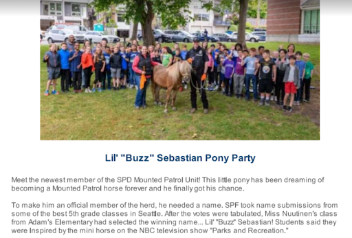 Many of  @SeattleFdn’s other grants to the SPF have little to no social value. For example, It spent $150k to keep the mounted patrol alive. The patrol hasn’t served an law enforcement purpose for more than half a decade & exists purely as a PR prop for SPD. (10/14)