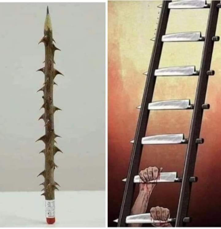 Shamimullah101's tweet photo. Perfect example of the #Educational_system and #Ladder_of_Success for the poor in Pakistan .....🤔🤔🤔 https://t.co/ma8XO53Ymo