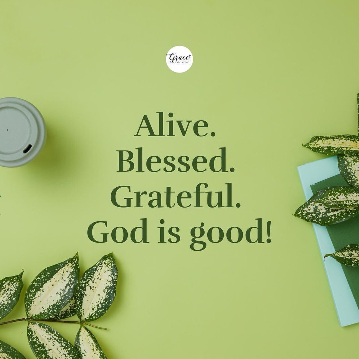 _graceunlimited's tweet photo. I am alive. I am blessed. I am grateful. Hallelujah! Truly our Father in heaven is good.
#GraceUnlimitedUAE #alive #blessed #grateful #hallelujah #DailyWord #DailyVerse #DailyGrace #TeamJesus #Jesus #HolySpirit #ThankYouLord #WordOfGod #Grace #Love #Hope #Peace #Share #ForYou https://t.co/iFPNVDs0cv