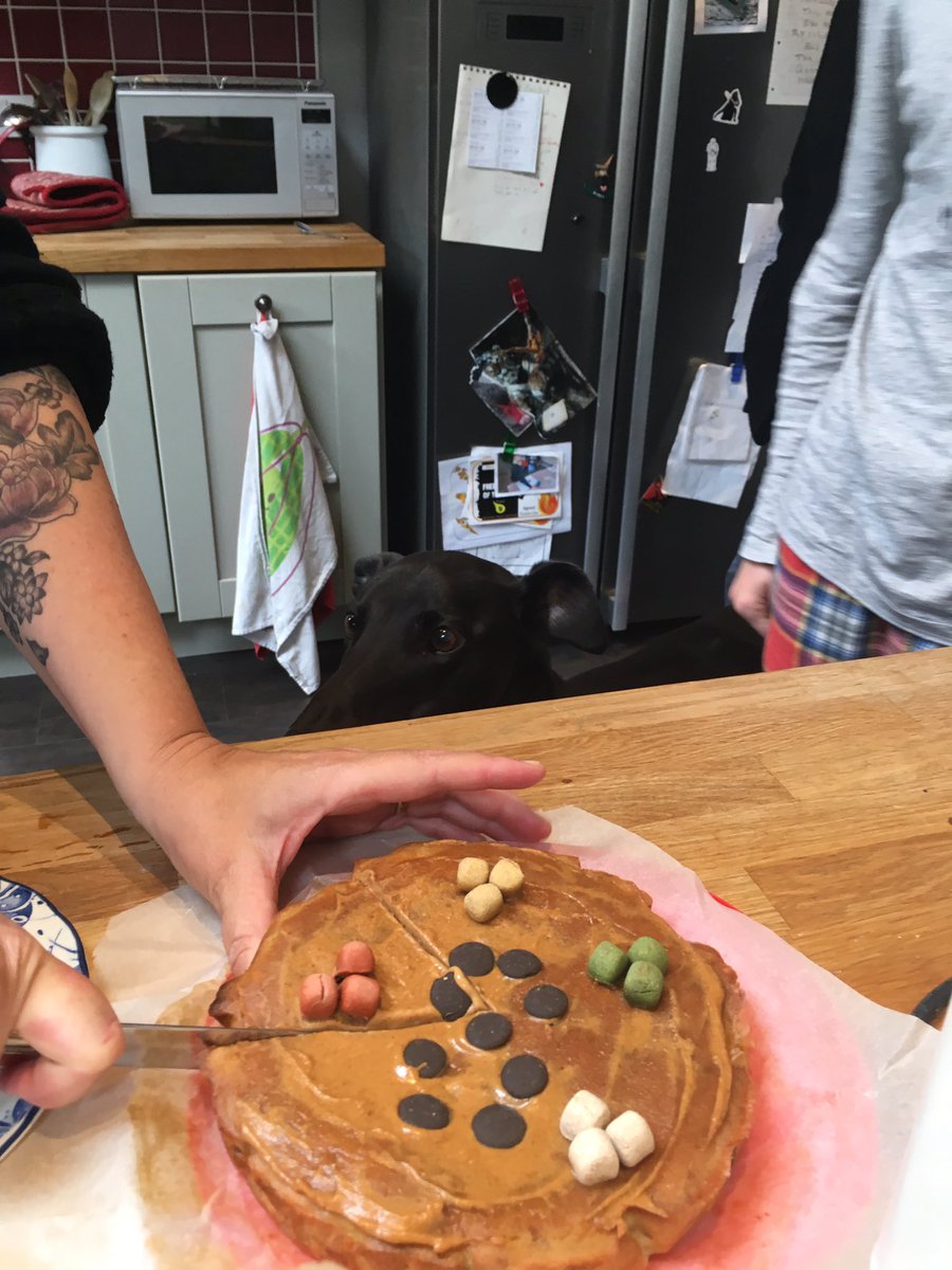 I'm 8 today! Hoomins made us a yummy cake. Reader, it did not touch the sides.