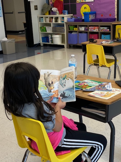 cub_hses's tweet image. #FaceToFaceHawks    #Hurray   #LearningInPerson  

Phase 1 Fun  😍😍😍😍😍😍😍😍😍😍

@HembreeSprings